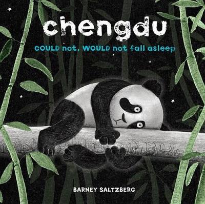 Chengdu Could Not, Would Not, Fall Asleep by Barney Saltzberg