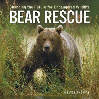 Bear Rescue book