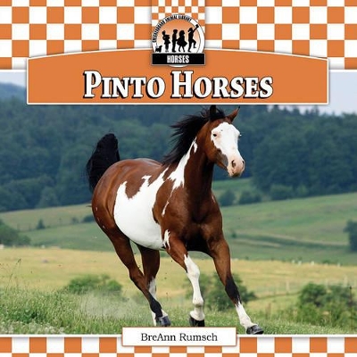 Pinto Horses book