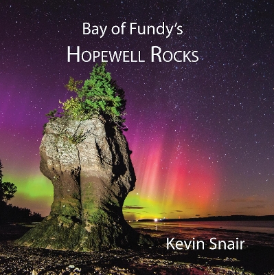 Bay of Fundy's Hopewell Rocks book