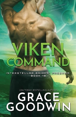 Viken Command: Large Print book