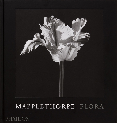 Mapplethorpe Flora: The Complete Flowers by Mark Holborn