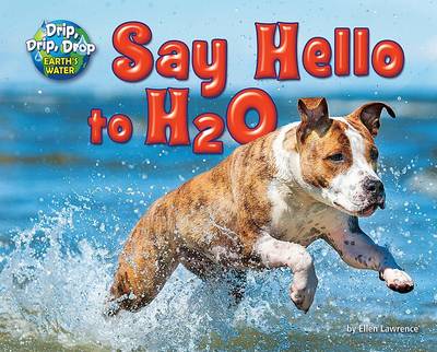 Say Hello to H2O book