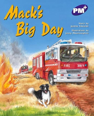 Mack's Big Day book