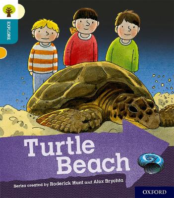 Oxford Reading Tree Explore with Biff, Chip and Kipper: Oxford Level 9: Turtle Beach book