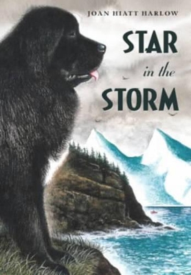 Star in the Storm book