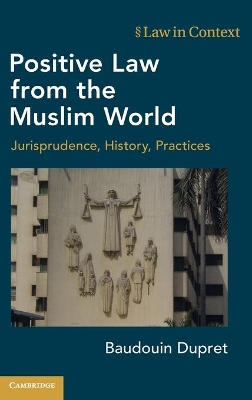 Positive Law from the Muslim World: Jurisprudence, History, Practices book