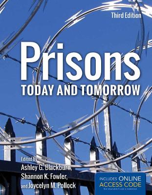 Prisons Today And Tomorrow book