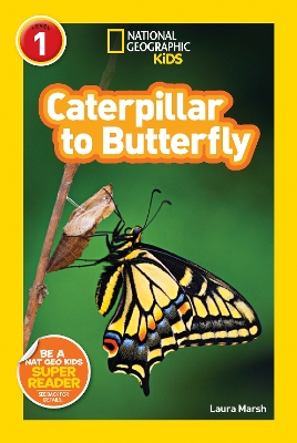 National Geographic Kids Readers: Caterpillar to Butterfly by Laura Marsh