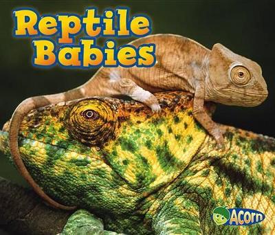 Reptile Babies book