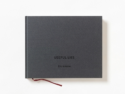 Useful Lies book