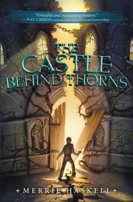 Castle Behind Thorns book