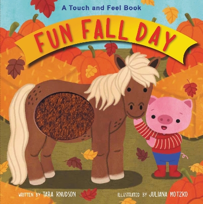 Fun Fall Day: A Touch and Feel Board Book book