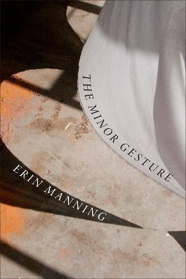 Minor Gesture book