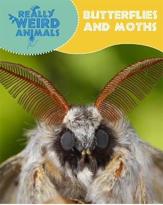 Really Weird Animals: Butterflies and Moths book