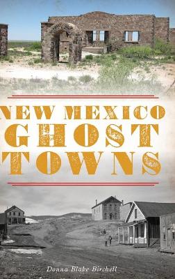 New Mexico Ghost Towns book