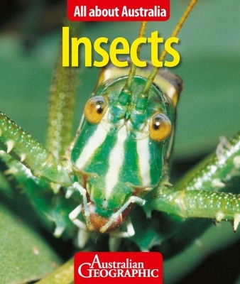 All About Australia: Insects book