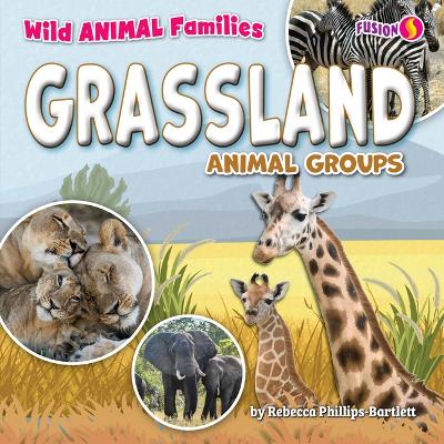 Grassland Animal Groups book