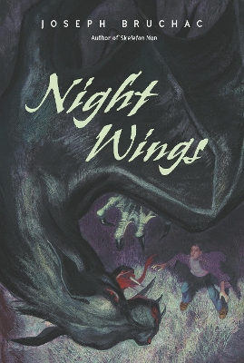 Night Wings book