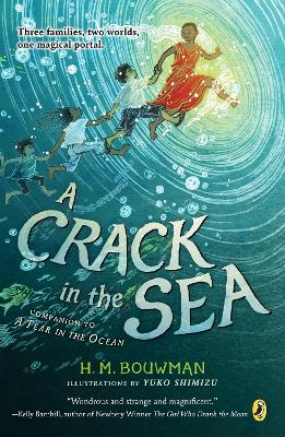 Crack in the Sea book