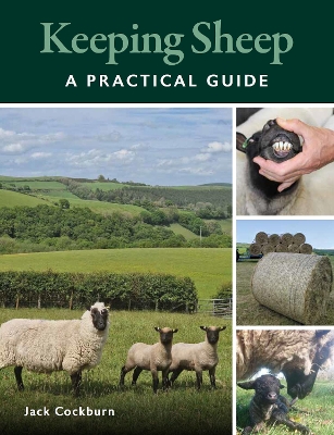 Keeping Sheep book
