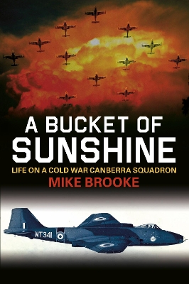 Bucket of Sunshine book