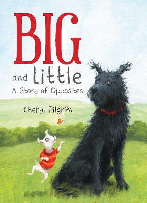 Big and Little: A Story of Opposites book