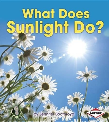 What Does Sunlight Do? by Jennifer Boothroyd