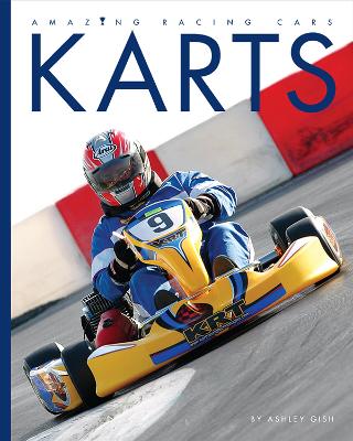 Amazing Racing Cars: Karts book