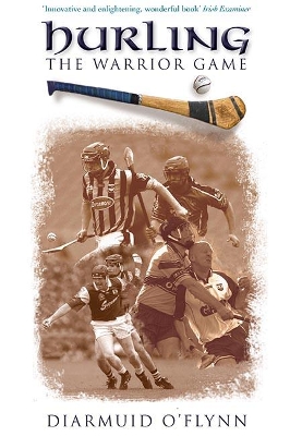 Hurling by Diarmuid O'Flynn