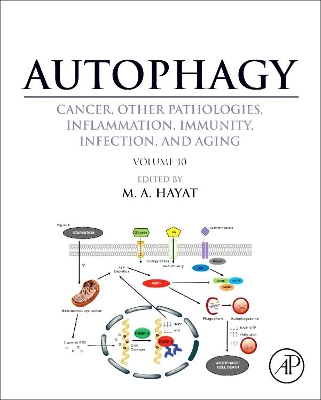 Autophagy: Cancer, Other Pathologies, Inflammation, Immunity, Infection, and Aging by M. A. Hayat