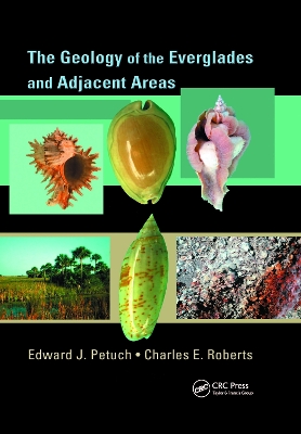 The Geology of the Everglades and Adjacent Areas book