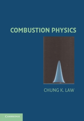 Combustion Physics book