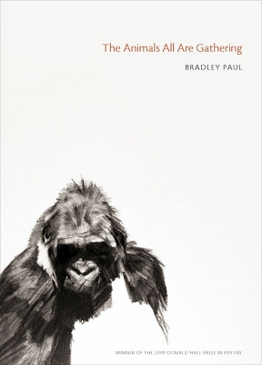 Animals All are Gathering book