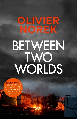 Between Two Worlds: THE TIMES Best Crime Novel of the Year 2024 book