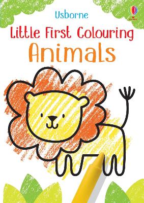 Little First Colouring Animals book