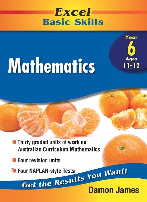 Excel Basic Skills - Mathematics Year 6 book