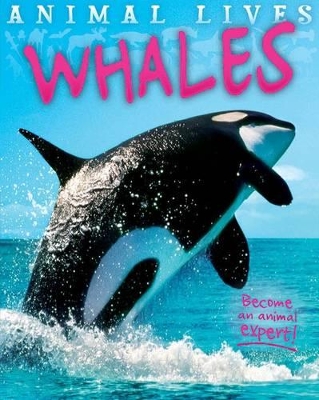 Animal Lives: Whales book