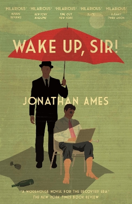 Wake Up, Sir! book