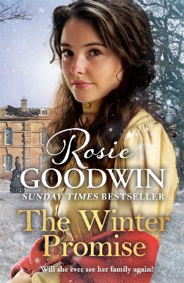 The Winter Promise: A perfect cosy Victorian saga from the Sunday Times bestselling author book