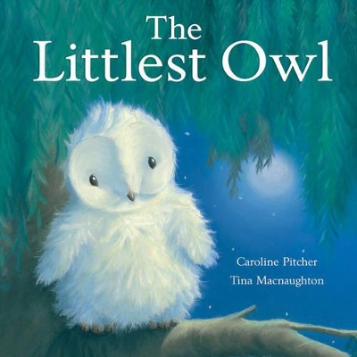 The Littlest Owl book