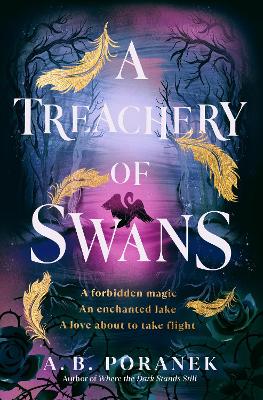 A Treachery of Swans book