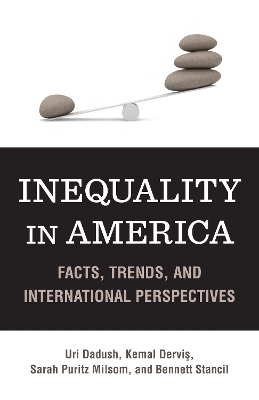 Inequality in America book