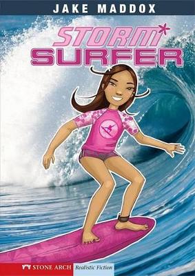 Storm Surfer book