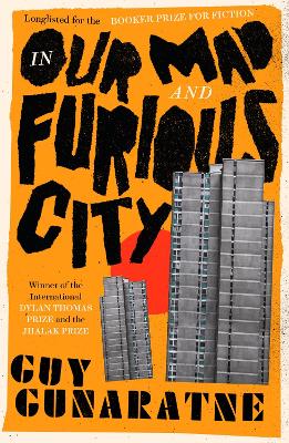 In Our Mad and Furious City: Winner of the International Dylan Thomas Prize book