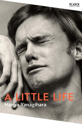 A Little Life: The Million-Copy Bestseller book