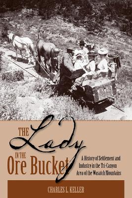 Lady In The Ore Bucket book