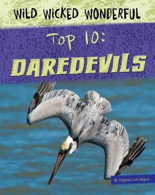 Daredevils book
