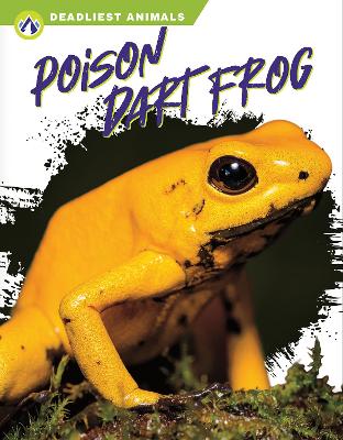 Poison Dart Frog by Golriz Golkar