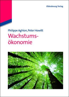 Wachstumsökonomie book